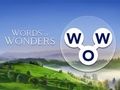 Spel Woorden van wonderen  online