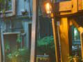 Spel Speelse schildpadontsnapping  online