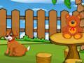 Spel Grappige leguaan ontsnapping  online