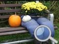 Spel Herfsttuin Zoek 100 vlinders  online