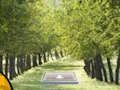 Spel Paar Cat Escape  online