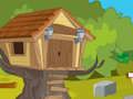 Spel Acorn Quest avontuurlijke ontsnapping  online