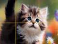 Spel Puzzel glijdende kittens  online