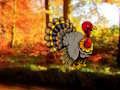 Spel Thanksgiving Dansende Turkije-ontsnapping  online