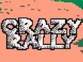 Spel Gekke rally  online