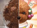 Spel Meester in make-up voor huisdieren  online