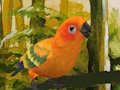 Spel Leuke parkietenpuzzel  online