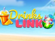Spel Dranklink  online