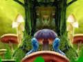 Spel Fantasie Pauw Familie-ontsnapping  online