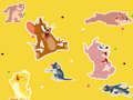 Spel De Tom en Jerry Show Vind het!  online