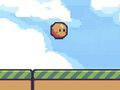 Spel Springerige zoektocht  online