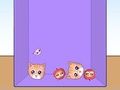 Spel Evolutie van kattenmemes  online