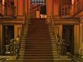 Spel Hond ver weg  online