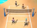 Spel Beachvolleybal 3D  online