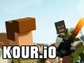 Spel Koer. io  online