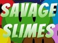 Spel Wilde slijmen  online