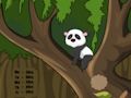 Spel Panda-jungle-ontsnapping  online
