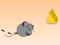 Spel MuisRun!  online