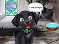 Spel Voer de hongerige zwarte hond online Spel Voer de hongerige zwarte hond online