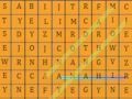 Spel Woordzoeker html5  online