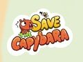 Spel Red de Capibara  online