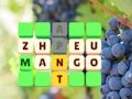 Spel Woorddia  online