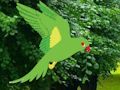 Spel Papegaai Vind Het Nest  online