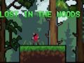 Spel Verdwaald in het bos  online