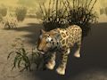 Spel Afrikaanse cheetah-jachtsimulator  online