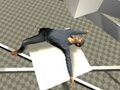 Spel Ragdoll-test  online