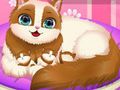 Spel Schattige Kitty zwanger  online