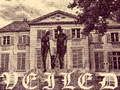 Spel Gesluierd  online