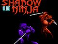 Spel Schaduw van de Ninja  online