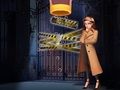 Spel Pin-detective  online