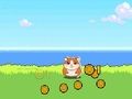 Spel Hamster Kombat-clicker  online