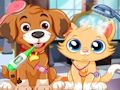 Spel Dierenartsenzorg voor puppy's  online