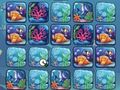 Spel Rifkleuruitdaging  online
