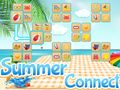 Spel Zomer verbinding  online