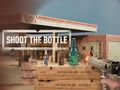 Spel Schiet op de fles  online