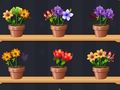 Spel Goede bloemenmeester  online
