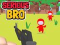 Spel Serieuze broeder  online