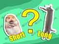 Spel Kinderquiz: kortste en langste  online
