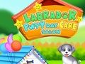 Spel Labrador puppy dagopvang salon  online