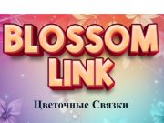 Spel Bloesem Link  online