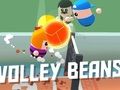Spel Volleybonen online Spel Volleybonen online