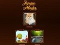 Spel Puzzelmeester  online