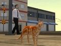 Spel Cat City-simulator  online