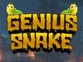 Spel Geniale slang online Spel Geniale slang online