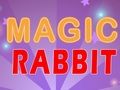 Spel Magisch konijn online Spel Magisch konijn online