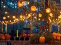 Spel Halloween Mooie tuinontsnapping  online